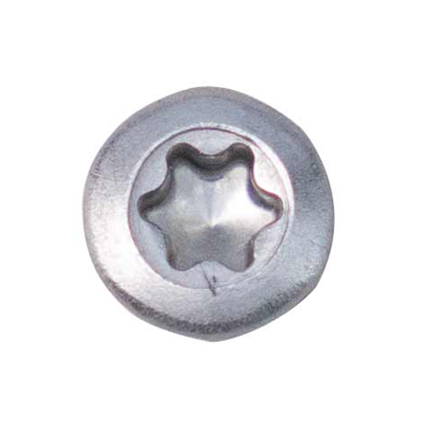 Anchormark Timber S/steel Dome-tx20 5.5 X 60mm