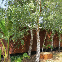 Rust Metal Screen Plain