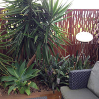 Rust Metal Privacy Screen Vine