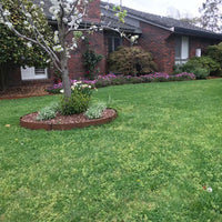 Corten Steel Rust Garden Edging