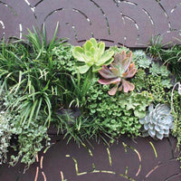 Outdeco Screen Cumulus