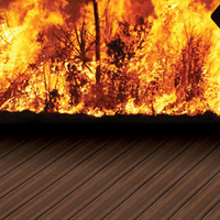 Modwood Flame Shield Ngc 137 X 23mm