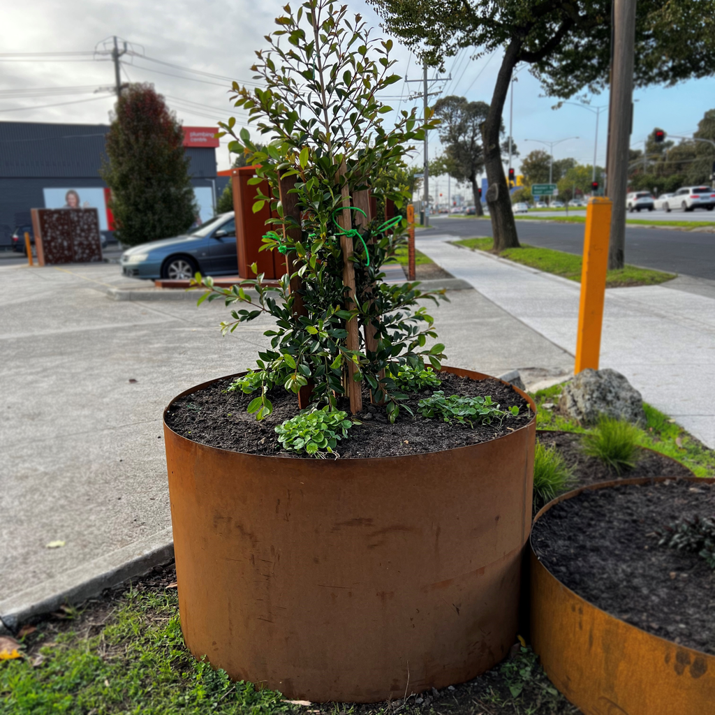 *NEW* *Extra Large* Corten Steel Rust Garden Ring 600mm