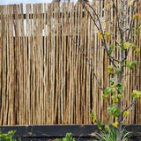 EkoStix / Latte Poles 10 Sticks Bundle