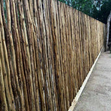 EkoStix / Latte Poles 10 Sticks Bundle