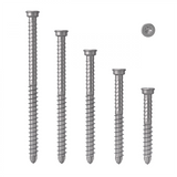 AnchorMark Timber S/Steel Trim Head Sit20