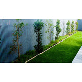 Budget Slim Line Hardwood Screens