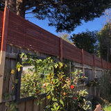 Budget Slim Line Hardwood Screens