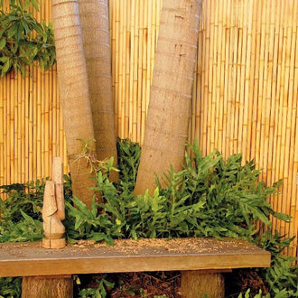 Bamboo Screening: Jati Natural