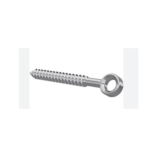 Lag Eye Screw Ss316