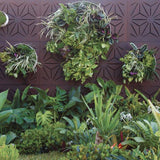 Outdeco Screen: Star Anais  (Natural Brown)