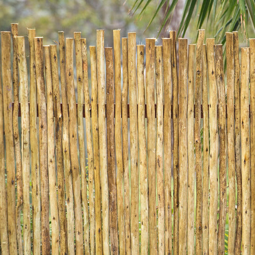 Ekostix / Latte Poles 10 Sticks Bundle