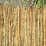 EkoStix / Latte Poles 10 Sticks Bundle