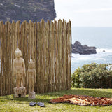 EkoStix / Latte Poles 10 Sticks Bundle